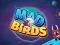 Spill Mad Birds online