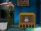 Spill Escape The Greedy Cat From Cage online