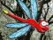 Spill Escape From Dragonfly Forest online