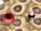 Spill Bouncing Blob online