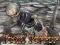 Spill Total Terror online