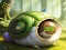 Spill Rescue The Fantasy Snail online