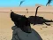 Spill Weapon online