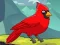 Spill Rescue The Northern Cardinal online