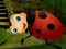 Spill Rescue The Couple Bug online