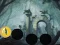 Spill Hungry Devil Forest Escape online