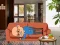 Spill Wakeup The Grandpa online