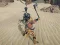Spill The Scythian Warrior online