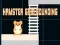 Spill Hamster grid rounding online