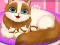Spill Cute Kitty Pregnant online