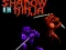 Spill Shadow of the Ninja online