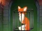 Spill Fox in the Forgotten Ruins online