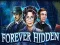 Spill Forever Hidden online