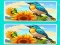Spill Spot the Difference The Garden online