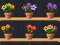 Spill Good Flower Master online