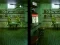 Spill Robot Bar Spot the differences online
