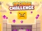 Spill Sponge Challenge online