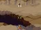 Spill Mars Invasion online