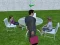 Spill Millionaire Simulator 2024 online