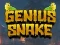 Spill Genius Snake online