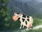 Spill Cow Reach the Shed online