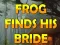 Spill Frog Finds His Bride online