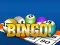Spill Bingooo 2024 online