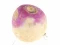 Spill Turnip online