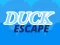 Spill Duck Escape online