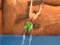 Spill Ragdoll Rock Climber online