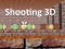 Spill Shooting 3D online