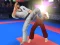 Spill Karate Fighter online