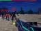 Spill Zombie Survivor online