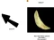 Spill Spinning Chip Clicker online