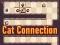 Spill Cat Connection online