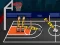 Spill Basket Random Pro online