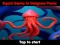 Spill Squid Game In Dalgona Panic online
