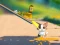 Spill Cat Challenge online