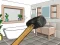 Spill Smash The Room To Pieces online