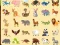Spill Discover Animals online