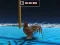Spill Animal Impossible Track Rush online