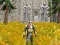 Spill Axe Of The Ancients Dwarven Fury online