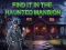 Spill Find It In The Haunted Mansion online