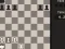 Spill Fun Chess Puzzles! online