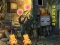Spill Delightful Rat Escape online