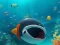 Spill Escape The Shark Cage online