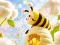 Spill Find The Differences: Little Bee's Adventure online