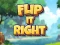 Spill Flip It Right online
