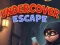 Spill Undercover Escape online