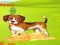 Spill Bunny Key Quest online